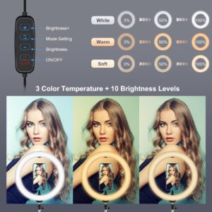 11.8 Dual Colour Led Ring Light With Phone Clamp - 3 Modes - Image 4