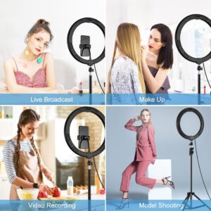 11.8 Dual Colour Led Ring Light With Phone Clamp - 3 Modes - Image 9